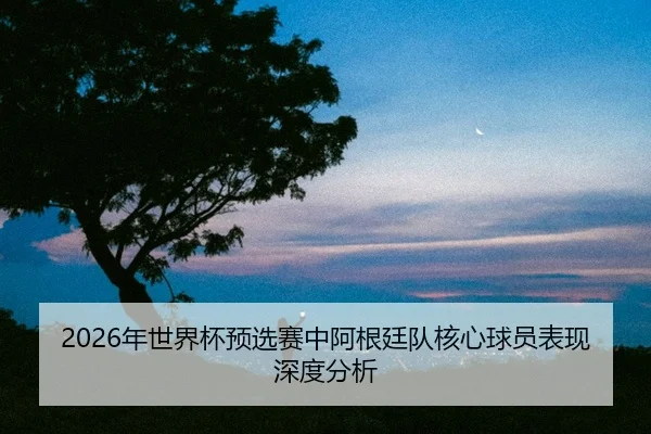 nian-shi-jie-bei-yu-xuan-sai-zhong-a-gen-ting-dui-he-xin-qiu-yuan-biao-xian-shen-du-fen-xi-2-793.jpg