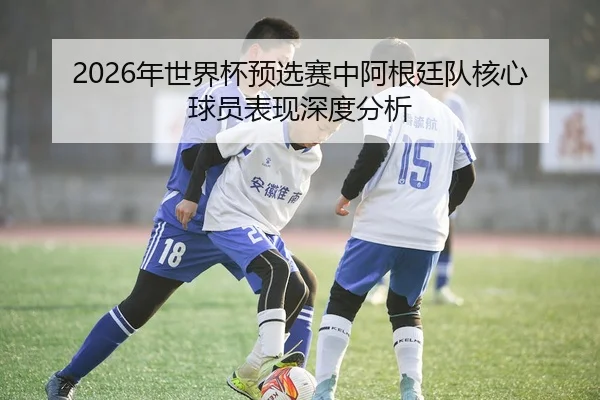 2026年世界杯预选赛中阿根廷队核心球员表现深度分析