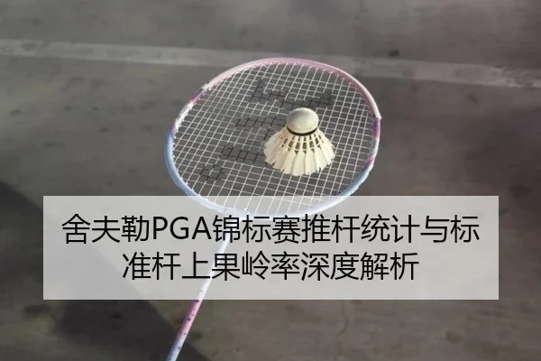 舍夫勒PGA锦标赛推杆统计与标准杆上果岭率深度解析