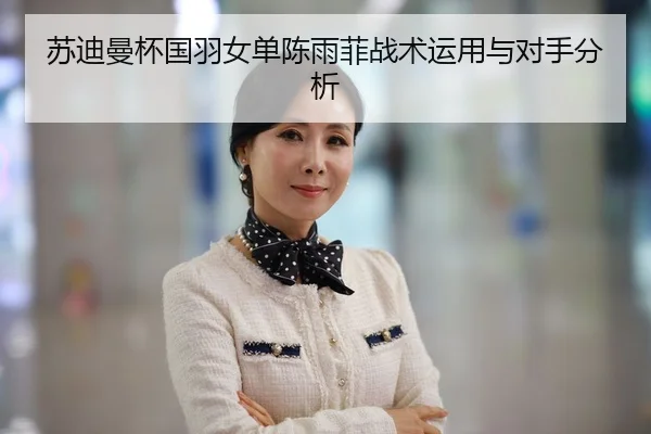 su-di-man-bei-guo-yu-nv-dan-chen-yu-fei-zhan-shu-yun-yong-yu-dui-shou-fen-xi-2-523.jpg