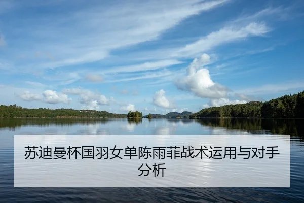 苏迪曼杯国羽女单陈雨菲战术运用与对手分析